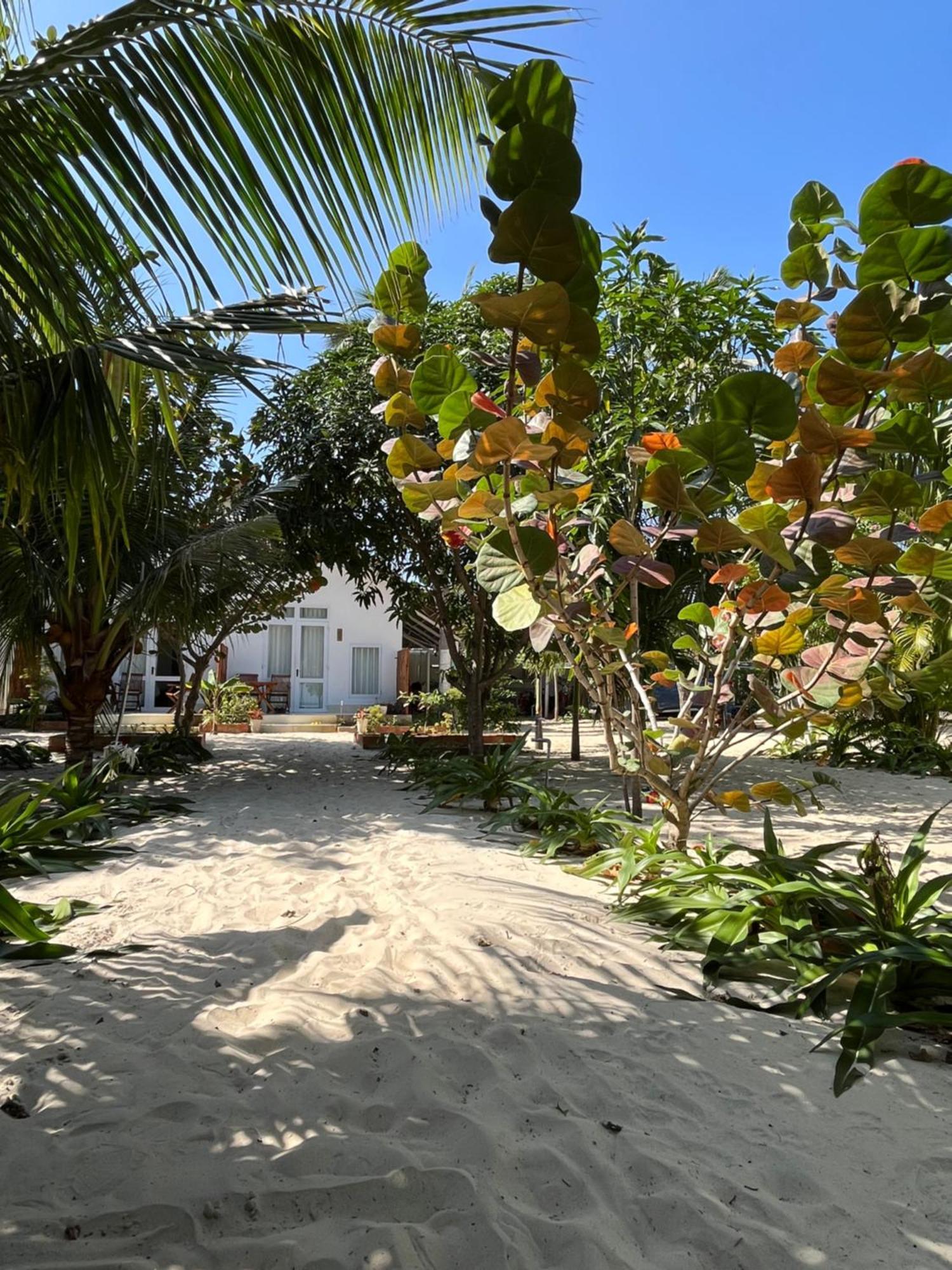 Robinson Beach Bungalow Vinh Hoa 外观 照片
