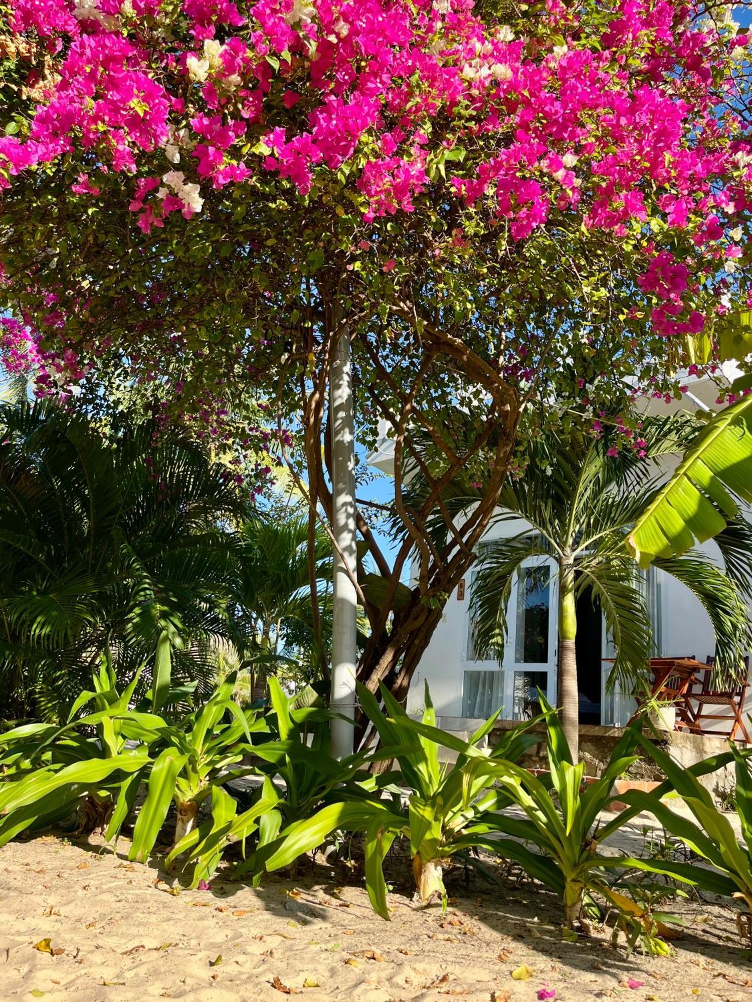 Robinson Beach Bungalow Vinh Hoa 外观 照片